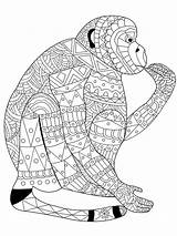 Monkey Coloring Pages Adults Adult Stress Book Anti Lace Vector Coloriage Color Mandala Colouring Zentangle Animal Printable Cute Illustration Pattern sketch template