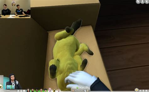 Sims 4 Is Getting A First Person View And Perverts Are Keen