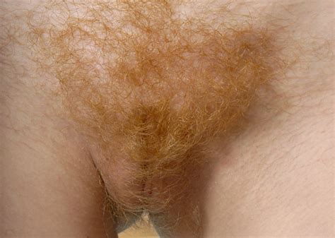 Fluffly Little Ginger Hairy Pussy Tag Bottomless
