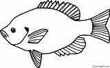 Bluegill Coloring Pages Easy Printable Fish Sheets Cartoon Choose Board sketch template