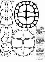 Turtle Coloring Pages Ninja Turtles Shell Crayola Printable Cut Color Craft Print Party Template Sheets Animal Colouring Tmnt Head Pieces sketch template