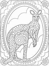 Kangaroo Adult Dieren Australische Aboriginal sketch template