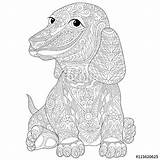 Dog Coloring Teckel Pages Dachshund Chien Dogs Adults Coloriage Book Para Colorear Adult Colouring Patterns Sausage Animal Stress Mandalas Dibujos sketch template