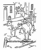 Cattle Drive Coloring Pages Elegant Getcolorings Getdrawings sketch template