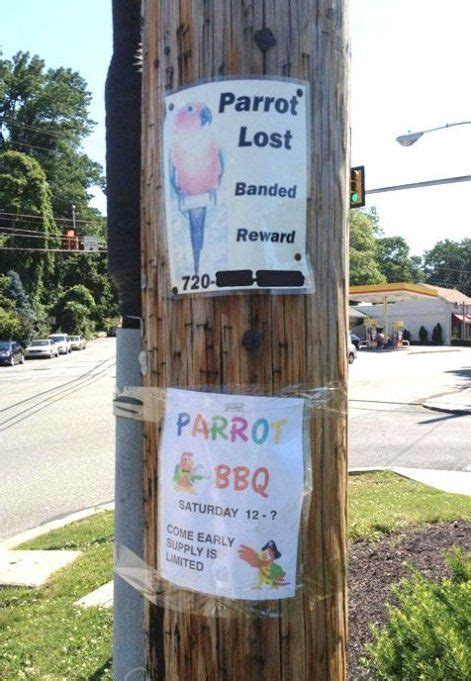 lost  parrots cost     baarbeque