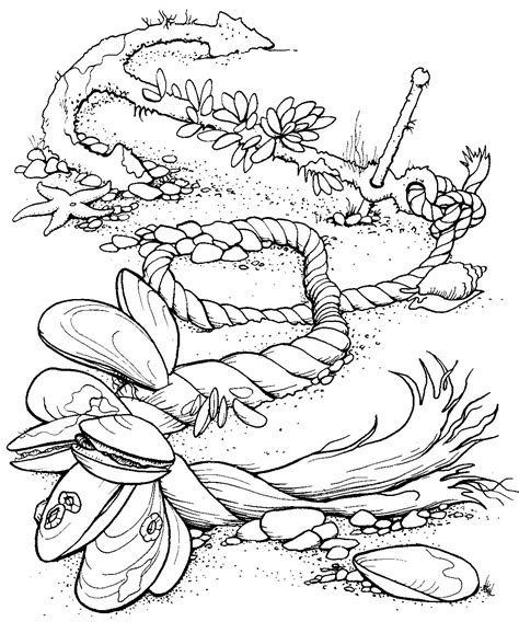 coloring pages ocean coloring page ocean coloring pages upper