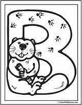 Beaver Coloring Printable Pages Cute sketch template