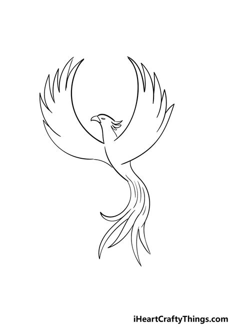 phoenix drawing bird  drawing drawings