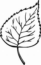 Template Leaf Tree sketch template