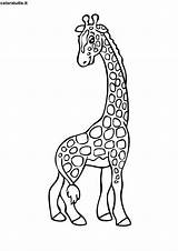 Giraffa Stampare Stampa sketch template
