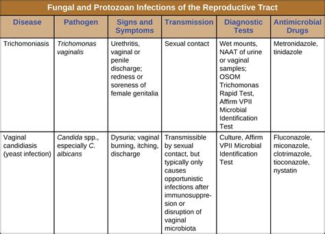 protozoan infections of the urogenital system microbiology