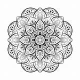 Mandala Floral Vector Decorative Vintage Vecteezy sketch template