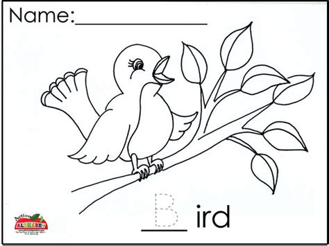 bird pages  preschoolers coloring pages