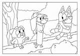 Bluey Friends Colouring Typewriter Sheets Tv sketch template