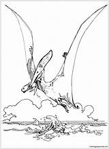 Pteranodon Pterosaur Pages Coloring Color sketch template