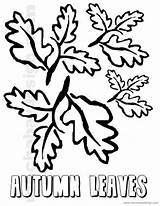 Coloring Leaves Thanksgiving Kids Autumn Fall Printable Printables Color Cut sketch template