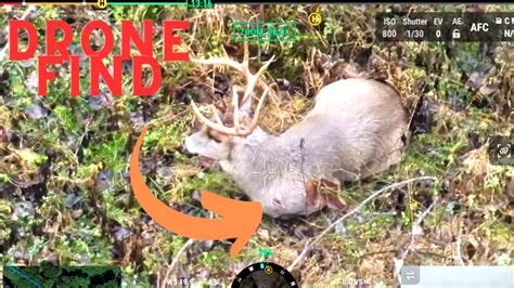 thermal drone deer recovery youtube