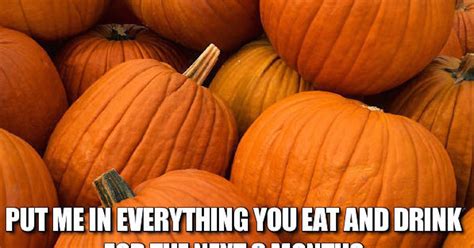 12 fall memes that will get you ready for your favorite season