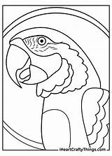 Parrots Parrot Macaw Iheartcraftythings sketch template