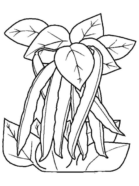 beans coloring pages   print beans coloring pages
