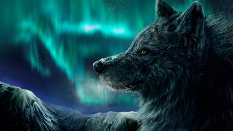 wallpaper wolf aurora polaris  art
