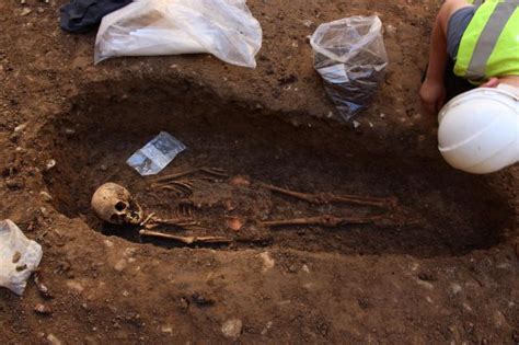 skeletons unearthed during development works archaeofeed