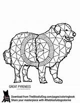 Coloring Pyrenees Maremma Sheepdog Designlooter sketch template