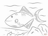 Pez Ballesta Trigger Baliste Dientes Rojos Triggerfish Supercoloring Tang Balistes sketch template