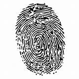 Fingerprint Clip Onlinelabels Svg sketch template