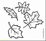 Leaves Pumpkin Drawing Coloring Pages Color Drawings Paintingvalley sketch template