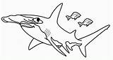 Tiburon Martillo Tiburones Tiburón Pez Animales sketch template