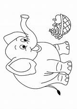 Colorare Disegni Elefanti Elefante Pianetabambini Singolarmente Versione sketch template