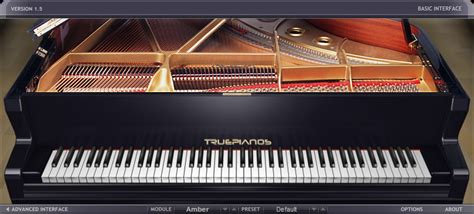 front technologies truepianos virtual piano instrument  windows  bit support receptor