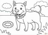 Coloring Pitbull Pages Supercoloring Categories sketch template