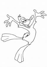 Duck Daffy Pato Lucas Alegria Patolino Saltando Tunes Looney Pintar Ausmalbilder Ausmalbild Tudodesenhos Dibujosonline sketch template