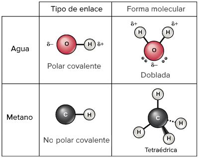 tipos de enlace covalente polar   polar descargar mp