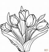 Tulips Supercoloring sketch template