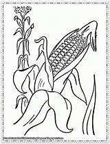 Corn Coloring Pages Printable Kids Stalks Thanksgiving Color Flour Drawing Cob Clipart Stalk Getdrawings Library Getcolorings Fruit Cartoon Popular sketch template