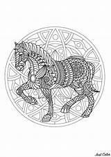 Mandala Geometric Horse Patterns Simple Coloring Mandalas Magnificent Background Color sketch template