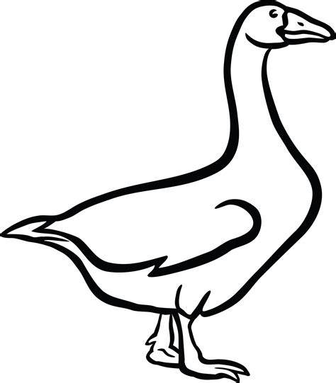 duck clipart black  white png