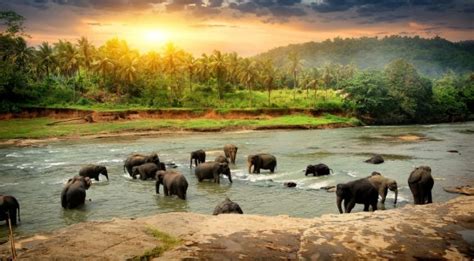 Why Sri Lanka Is The Top Travel Destination For 2019 Broadway Travel