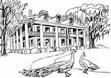 Plantation House Clipart Line Drawing Coloring Plantations Southern Google Mansions Big Pages Sketch Drawings Colouring Homes Adult Paintings Cliparts Gif sketch template