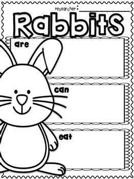 rabbits rabbits research  st grade  wienerful teachers pay