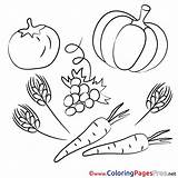 Coloring Vegetables Pages Kids Sheet Sheets Title Coloringpagesfree Farm Next sketch template