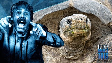 meet diego the sex crazed turtle who saved his species youtube