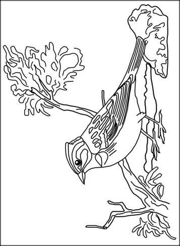 coloring page birds birds   bird coloring pages cool coloring