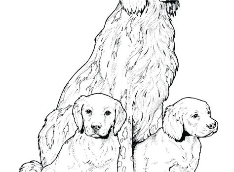 labrador puppy coloring pages  getcoloringscom  printable