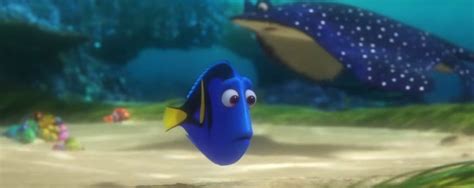 finding dory moana among animated films nominated for annie awards