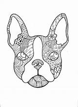 French Bulldog Coloring Pages Frenchie Dog Zentangle Etsy Bull Printable Puppy Pdf Color Bulldogs Template Crayola Sold sketch template