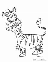 Zebra Coloring Color Pages Head Hellokids Print Online Animal Printable African Animals Getcolorings Do Getdrawings sketch template